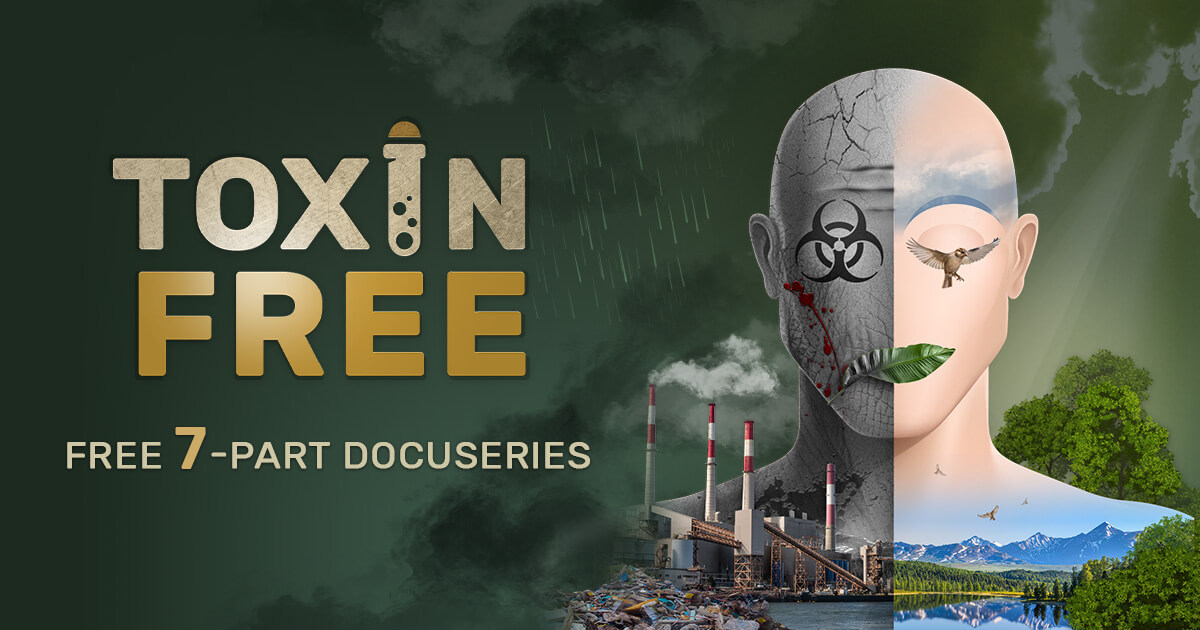 Can You Overcome the Toxin Overload Causing Modern Diseases?